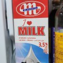 [자연원] 베트남 현지에서 먹던 그 맛, 냉동 아카시아 망고로 망고 스무디 만드는 법