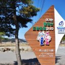 2025 여수에서 살아보기100섬투어(여수에서 고흥간 백야도ㆍ낭도ㆍ금오도ㆍ개도등 섬ㆍ여수에서 광양 배알도ㆍ여수에서 거문도와 백도 이미지