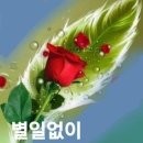 울고넘는 박달재 ㅡ박 재홍 노래ㅡ 어느 선술집 낙서ㅡ 아름다운 영상글 ㅡ 이미지