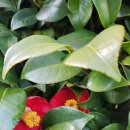 우림부동산중개 이미지