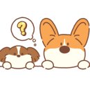헤리카페 이미지