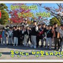 용인대윙스태권도장
