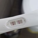 청룡한약방 | 불임 한약방추천 광덕당 한약방
