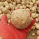 성근농장 이미지