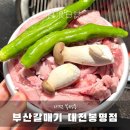 부산면관 유성봉명점 | 유성온천역맛집 대전고기집 부산갈매기 봉명점