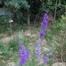 고감도어린이집 이미지