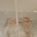 다안세탁 | [대만호텔추천] 대만초역세권 호텔 위치깡패 알려줄게!!