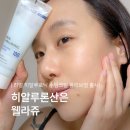 튜브솔루션㈜ | 올영세일 웰라쥬 수딩크림, 개기름 잡는 수분 수부지 찬물크림 후기