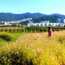 대저생태공원 이미지