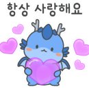 둘리애견 이미지