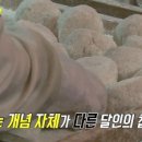 참순찰떡방 - 강릉시 성덕로 125 | 참순찰떡방