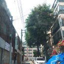 소희문구사