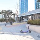 트리마제공인중개사사무소 이미지