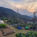 지인농원 이미지