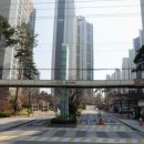 한솔온누리동물약국 이미지