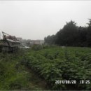 광석주유소 이미지