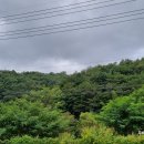 1233 | 오지산행후기(1233차) 강원 능이정맥(1) 2024.09.06(금)