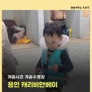 용인시 관광안내소(에버랜드) | 용인 가볼만한 곳 에버랜드 겨울시즌 캐리비안베이 아이와 다녀온 후기