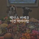 동화나라펜션 | 청도애견동반펜션 청도텍사스펜션 카라반 다녀왔어요