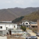 코오롱애견 이미지