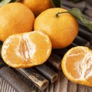 일산이비인후과의원 이미지