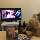 pet244누4144 | 영국 교환학생 일기: Days in the UK_Day 99 ~ 108 &#34;평범한 듯 평범하지 않은 마지막 인사&#34;