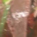 분당-259 이미지