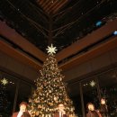 하모니라이브 이미지