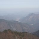 지용산인 이미지