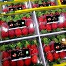 사평대로28길 31 (1) 이미지