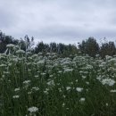 일우민박 이미지