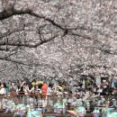 진해구 ⓒ-27 이미지