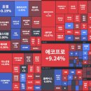 (주)셀루메드 네이버블로그