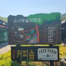 하늘천따지 이미지