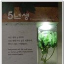 인삼박물관 이미지