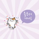 산호동241 이미지