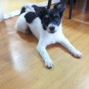 제일가축약품 이미지