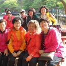 행은목장 이미지