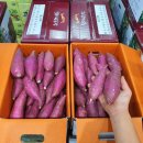 꿀밤농장 이미지