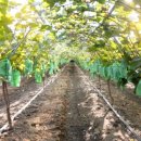 한송농장 이미지