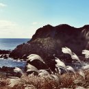 1004-11카페 이미지