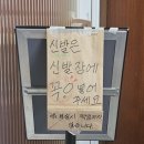 젊은느티나무 | [카페] 소설_대전 주택카페에서 휘낭시에, 아메리카노, 메리골드 꽃차 먹어본 후기