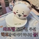 [제품 후기]쏠소라X와프랩 티 청소년 톤업 썬 쿠션 팩트 후기