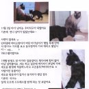 예빛파출넷 이미지