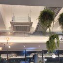 비바휘트니스 이미지