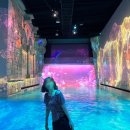 소노캄 제주 이스트타워 이미지