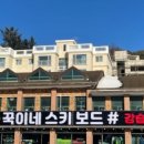 369렌탈
