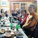 사람나무 이미지