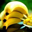 바나나 이미지