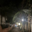 클럽프리모빈박 | #3) 푸꾸옥 3,4일차_해산물식당, Ocsen bar 불쇼, 피오나스파, 세일링클럽 시그니처 리조트, 불쇼, 풀빌라
